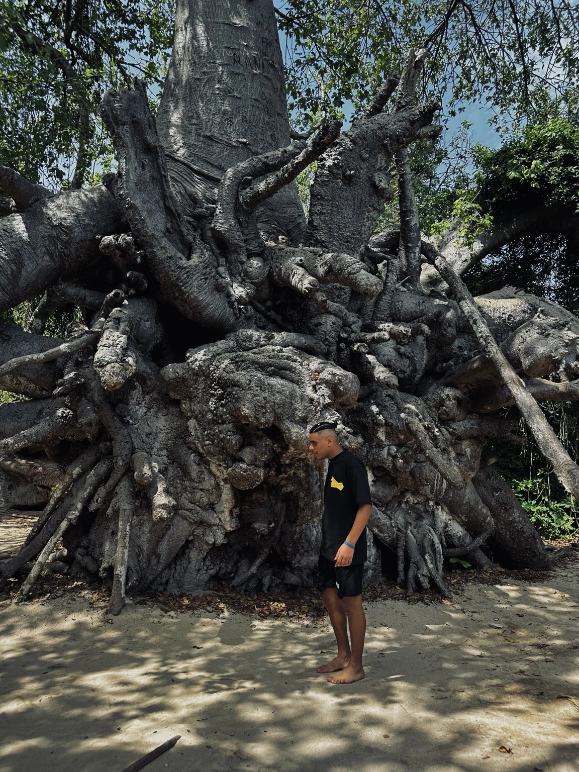 Abdo Salman standing near a large tree